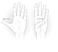 5 простих вправ для рухливості рук